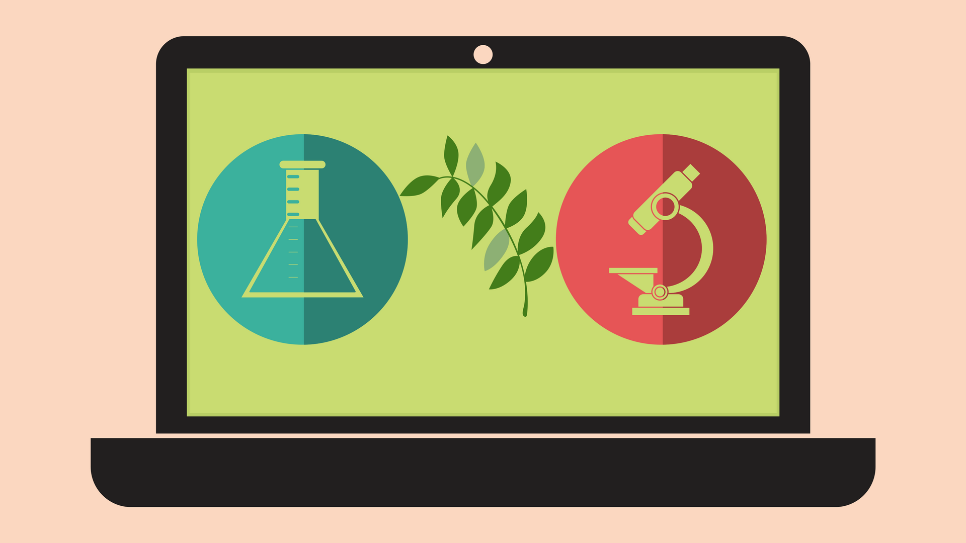 A virtual biology lab makes complex plant biochemistry easier to understand